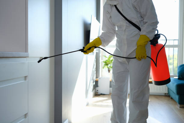 Best Professional Mold Removal  in Lula, GA