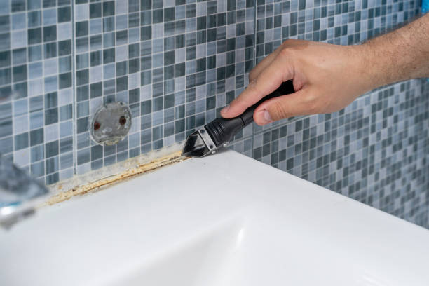 Best Professional Mold Removal  in Lula, GA